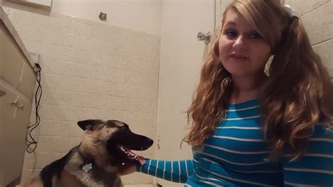 woman fucked by dog|Dog fucks girl hard